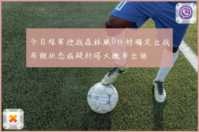 今日绿军迎战森林狼D怀特确定出战布朗状态成疑科塔大概率出场