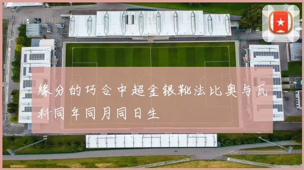缘分的巧合中超金银靴法比奥与瓦科同年同月同日生