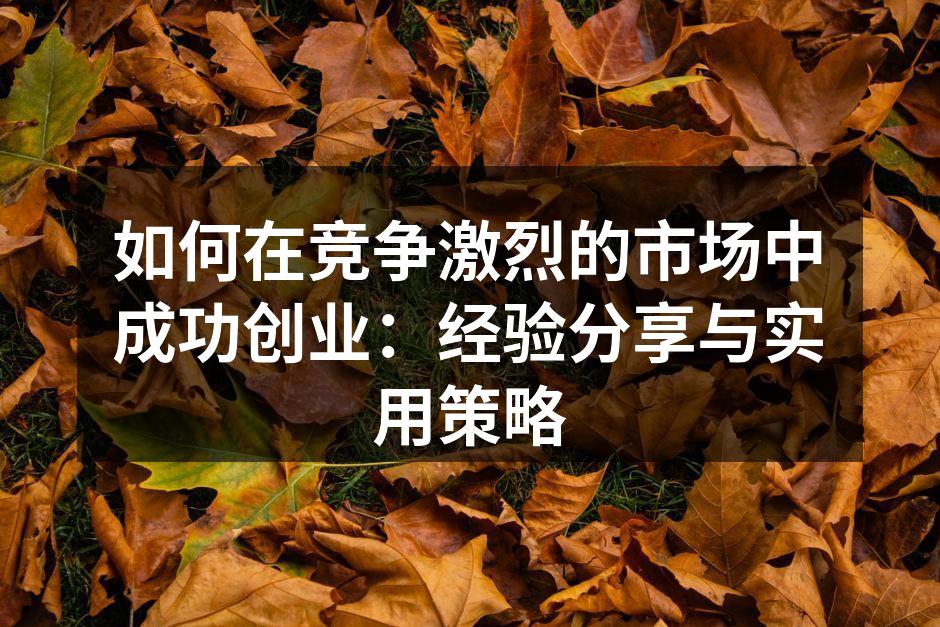 如何在竞争激烈的市场中成功创业：经验分享与实用策略