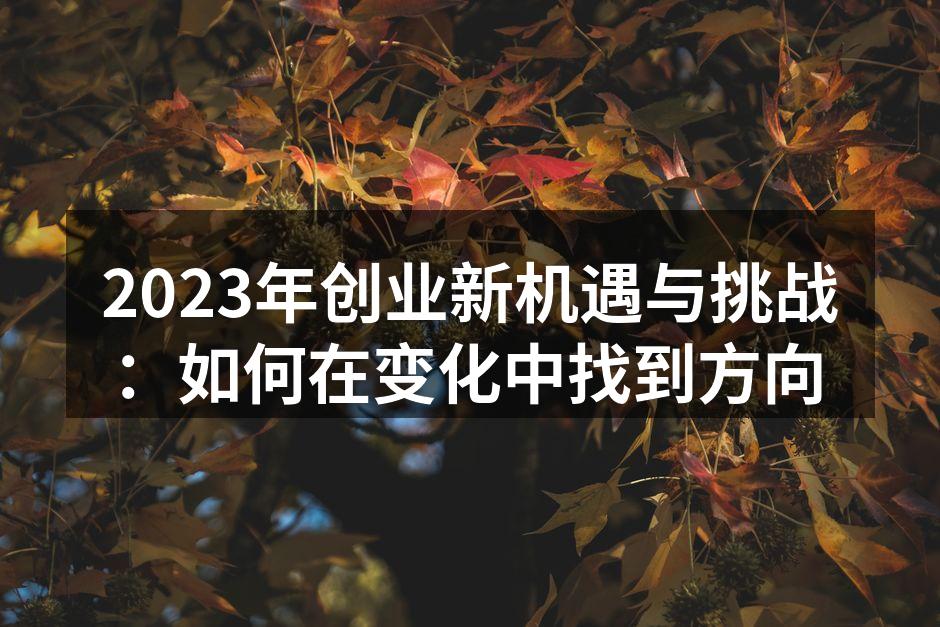 2023年创业新机遇与挑战：如何在变化中找到方向
